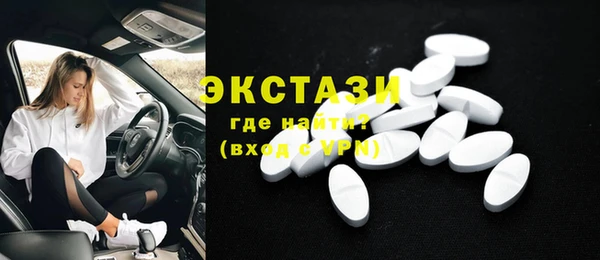 ECSTASY Богданович